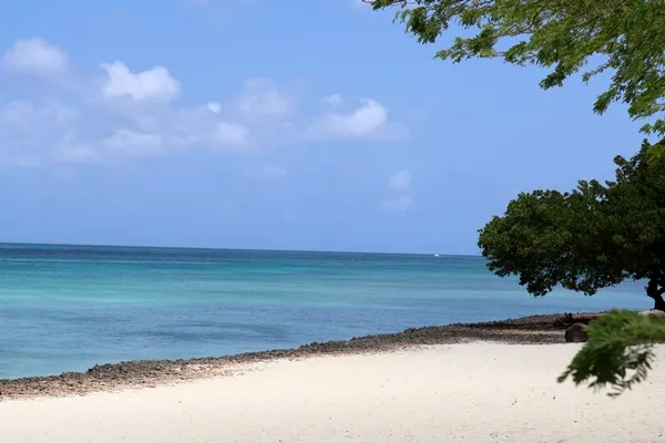 Eagle beach Aruba is free