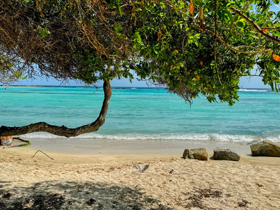 things to do at baby beach