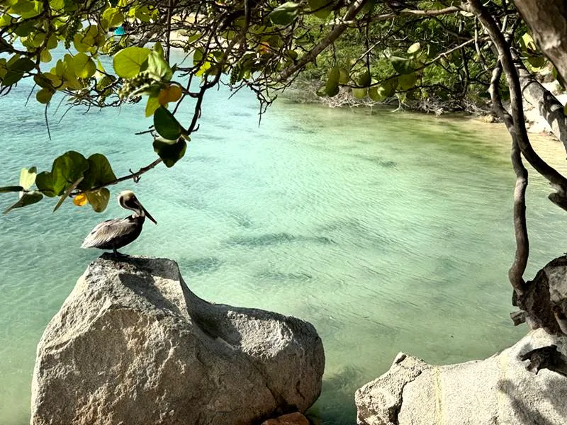 Bushiri Beach Aruba