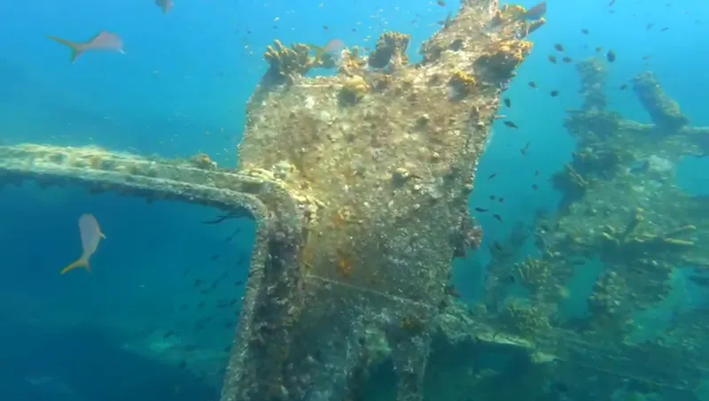 Aruba snorkeling trips