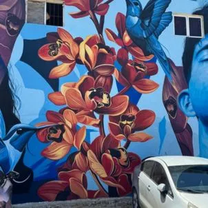 San Nicolas Self Guided mural tour