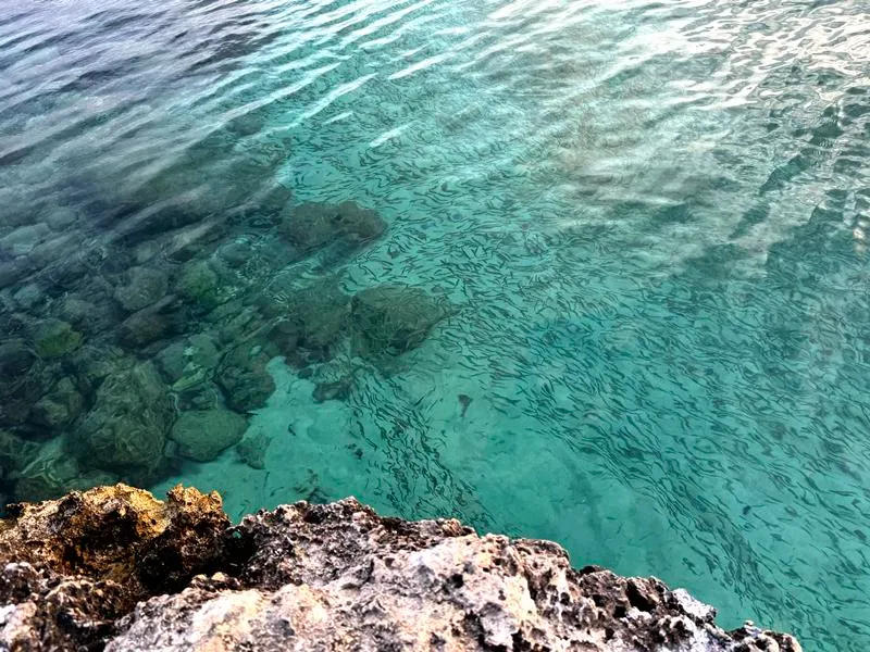 Visit Boca Catalina Beach Aruba